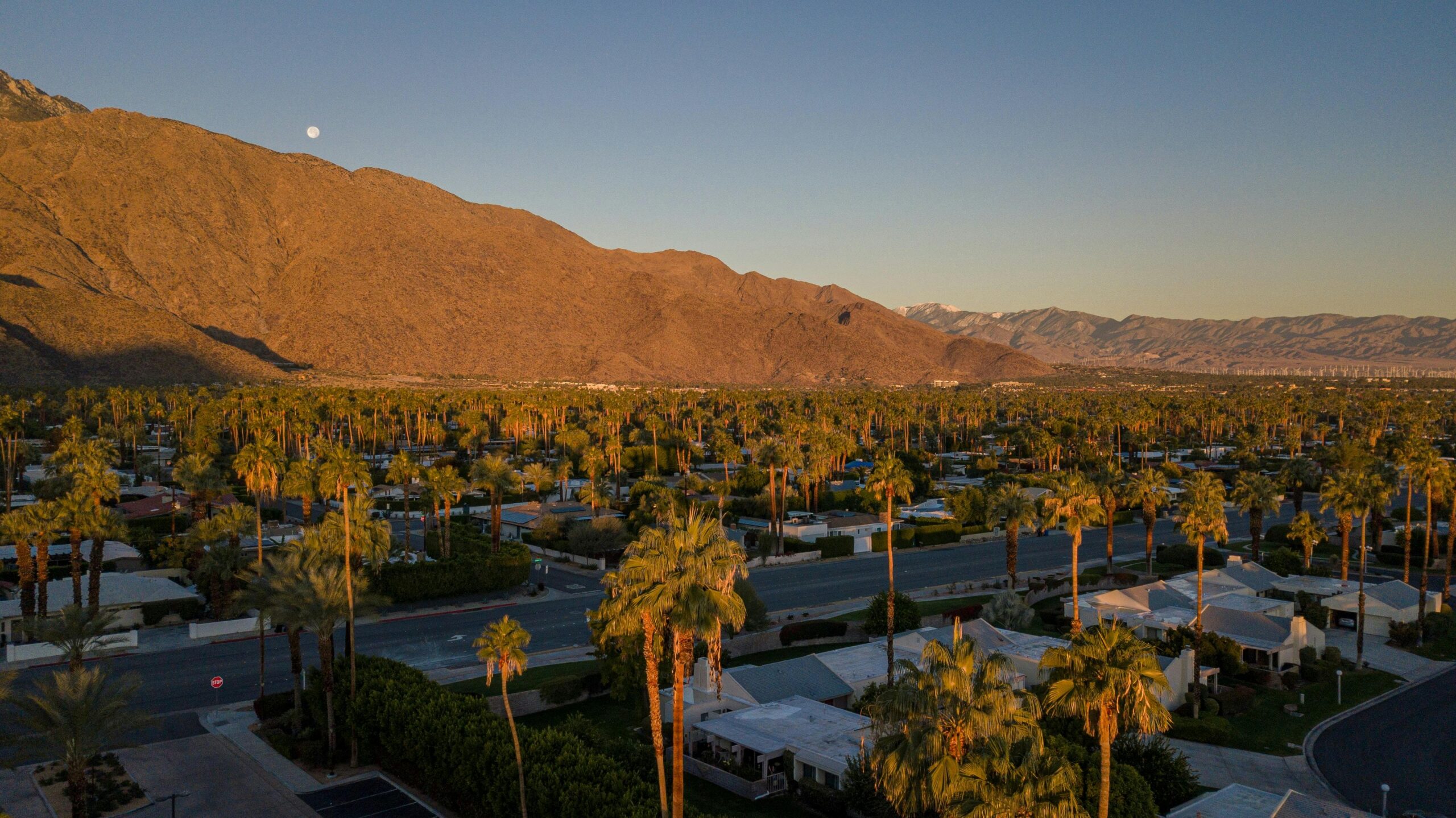 Palm Springs Overview